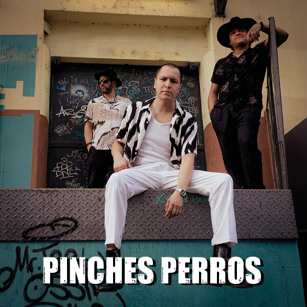 PINCHES PERROS
